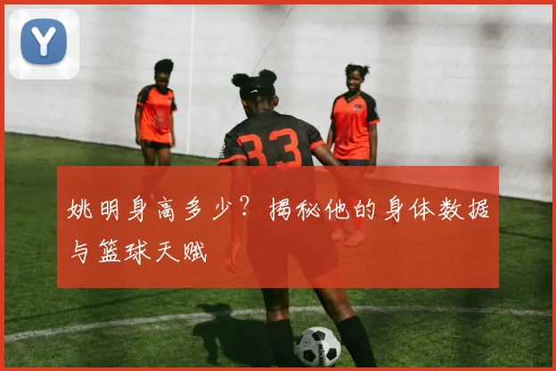 姚明身高多少？揭秘他的身体数据与篮球天赋
