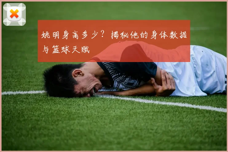 姚明身高多少？揭秘他的身体数据与篮球天赋
