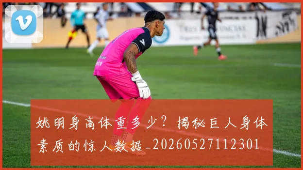 姚明身高体重多少？揭秘巨人身体素质的惊人数据_20260527112301